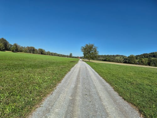 Nordic Walking Seilenau