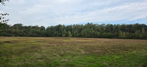 Lüntener Fischteiche
