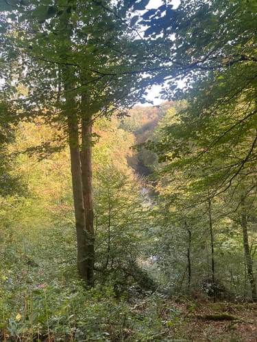 Rund um die Müngstener Brücke