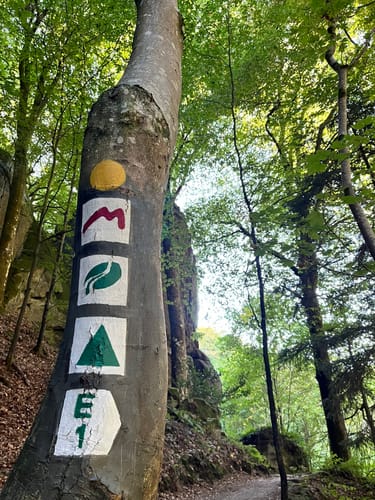 Mullerthal Ring