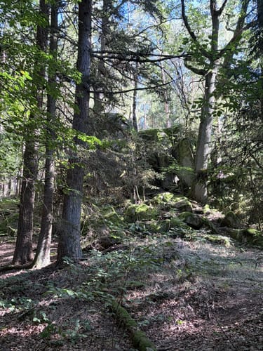 Rund um den Leuchtenberg