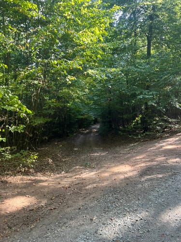 Wolfstein - Gipfelsteig zum Königsberg