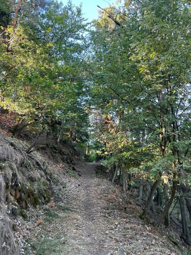 Wolfstein - Gipfelsteig zum Königsberg