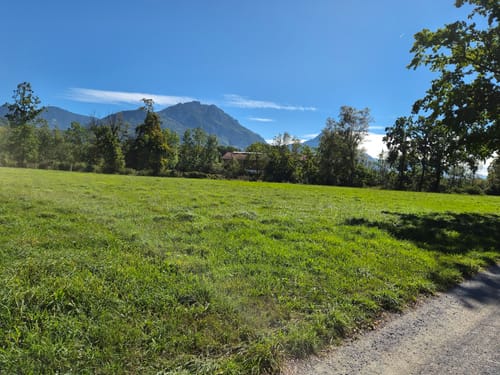 Nordic Walking Seilenau