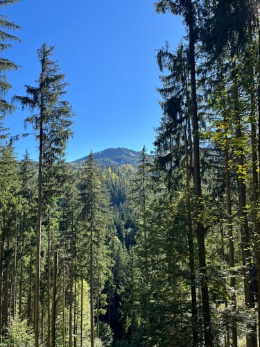 Gindelalm und Kreuzbergalm