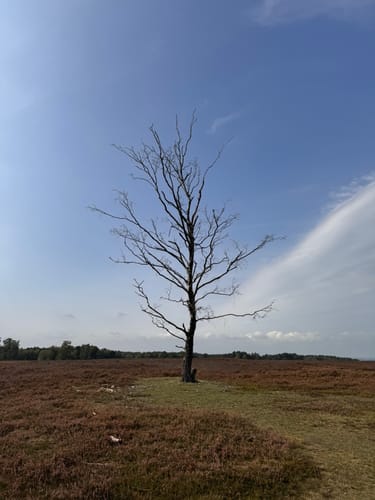 Fischbeker Heide: Fischbektal und Aussichtspunkte