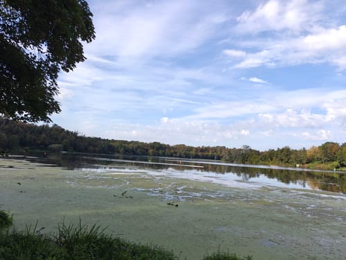 Uferweg Baldeneysee