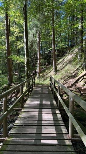 Rotes Moor (Extratour)