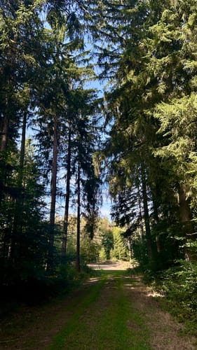 Köhlerroute
