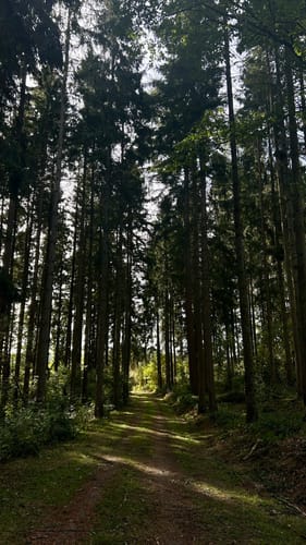 Köhlerroute
