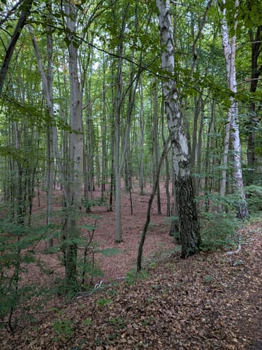 Röblinsee-Rundweg