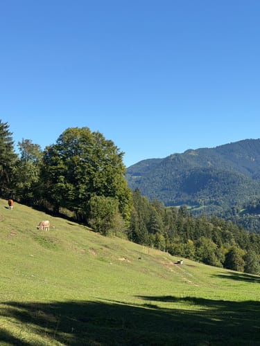 Kneifelspitze und Marxenhöhe über Kirche Maria Gern