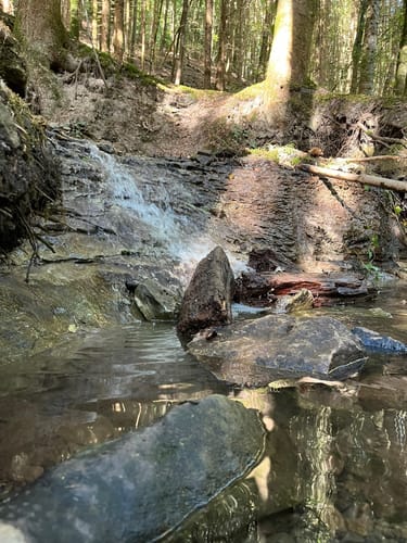 Murrhardt und Hörschbachwasserfälle Rundweg