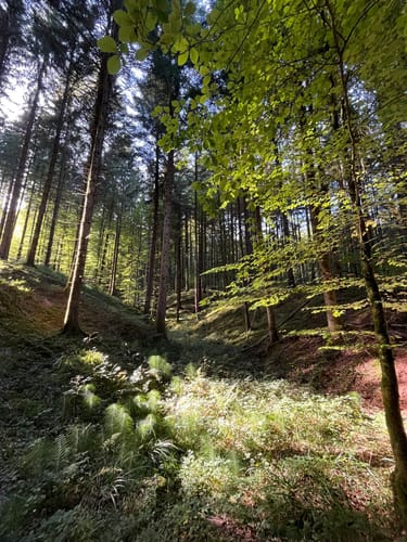 Murrhardt und Hörschbachwasserfälle Rundweg