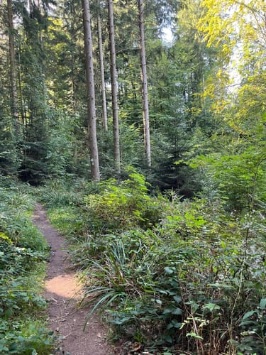 Murrhardt und Hörschbachwasserfälle Rundweg
