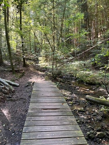Murrhardt und Hörschbachwasserfälle Rundweg
