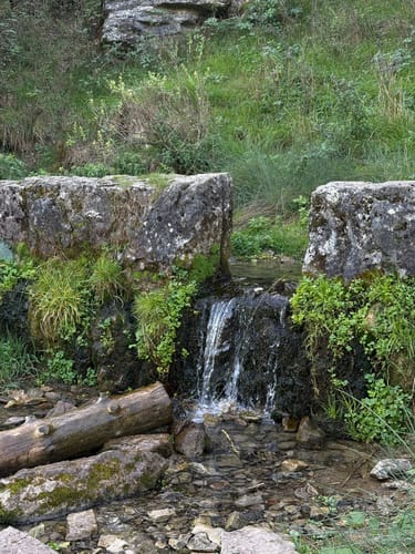 Oberleinleiter: Großer Tümmler und Heroldsstein