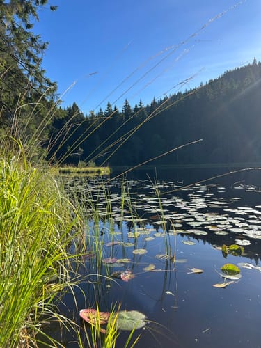 Schwarzenbachtalsperre zur Badener Höhe