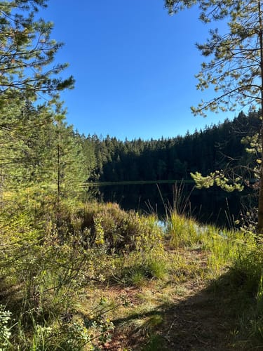 Schwarzenbachtalsperre zur Badener Höhe