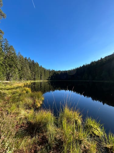 Schwarzenbachtalsperre zur Badener Höhe