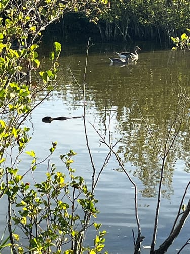 Rund um den Bucher Stausee