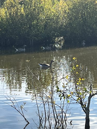 Rund um den Bucher Stausee