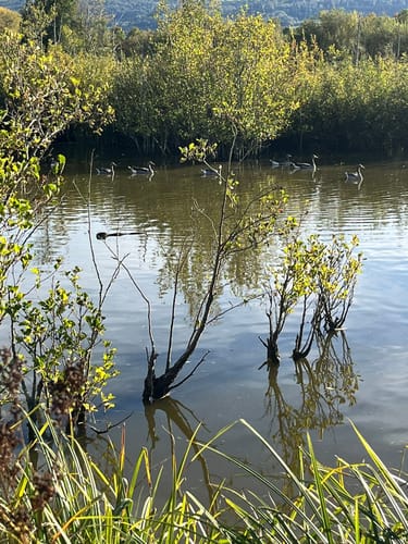 Rund um den Bucher Stausee