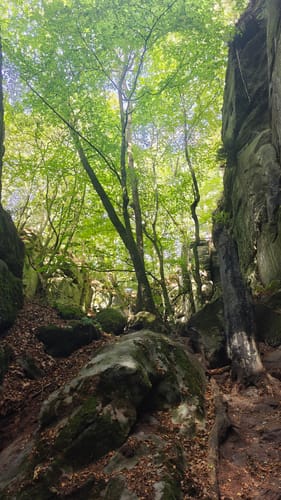 Mullerthal Trail - 24 km