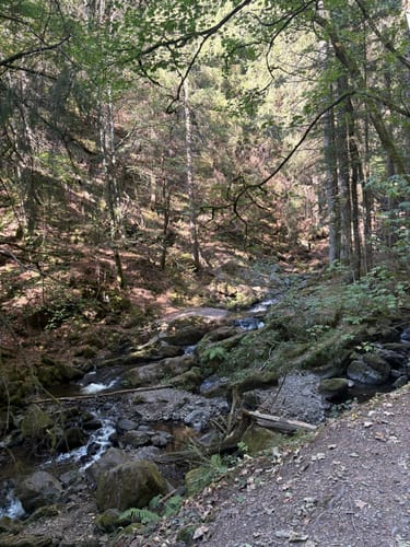 Ravennaschlucht mit Ausblick auf Breitnau