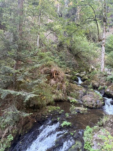 Ravennaschlucht mit Ausblick auf Breitnau