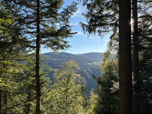 Ravennaschlucht mit Ausblick auf Breitnau