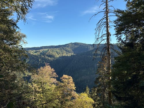 Ravennaschlucht mit Ausblick auf Breitnau