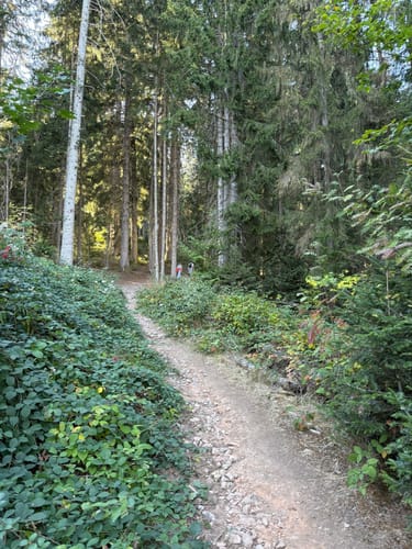 Ravennaschlucht mit Ausblick auf Breitnau