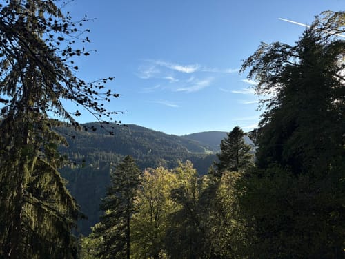 Ravennaschlucht mit Ausblick auf Breitnau