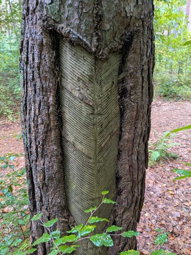 Röblinsee-Rundweg