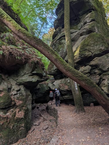 Müllerthal Trail Route 2: Echternach - Consdorf
