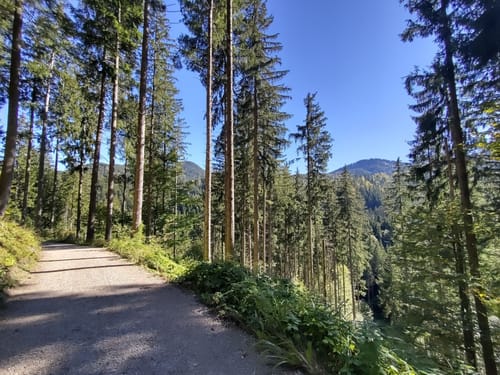 Vom Schliersee zum Tegernsee über die Gindelalm
