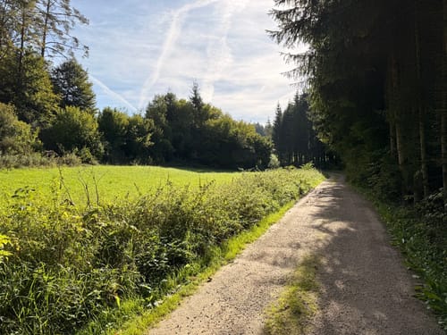Der Karstkundliche Wanderpfad