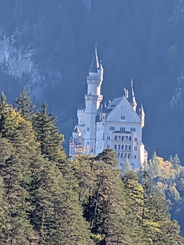 Alpsee Rundweg