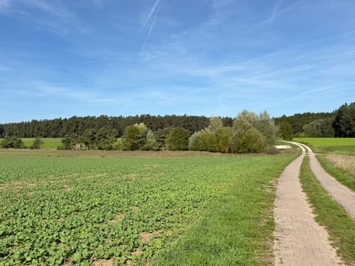 Oberhaid nach Sandhof