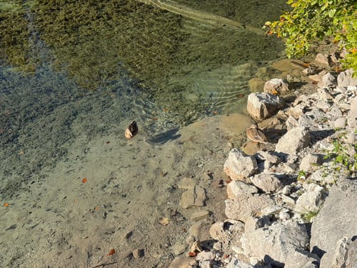 Eibsee und Riffelwald Rundweg