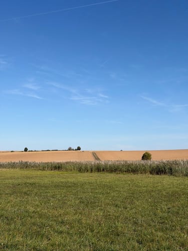 Taubensemd-Weg von Habitzheim nach Semd