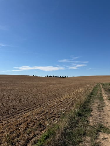 Taubensemd-Weg von Habitzheim nach Semd