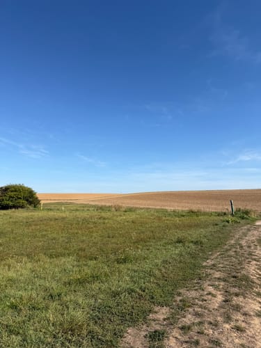 Taubensemd-Weg von Habitzheim nach Semd