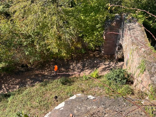 Germanshof - Ruine Guttenberg 