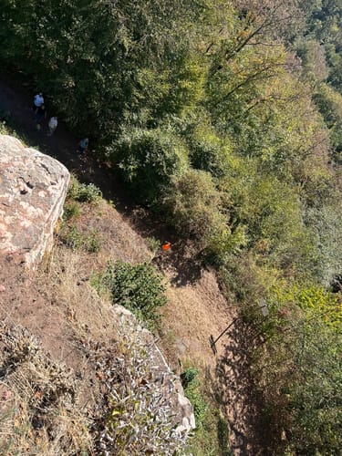 Germanshof - Ruine Guttenberg 