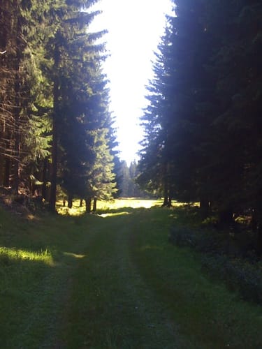Mordfleck Rundweg