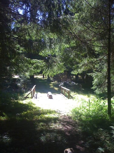 Mordfleck Rundweg