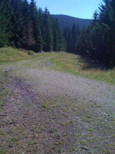 Mordfleck Rundweg