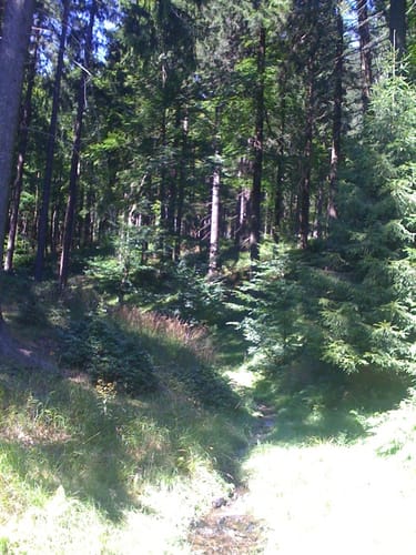 Mordfleck Rundweg